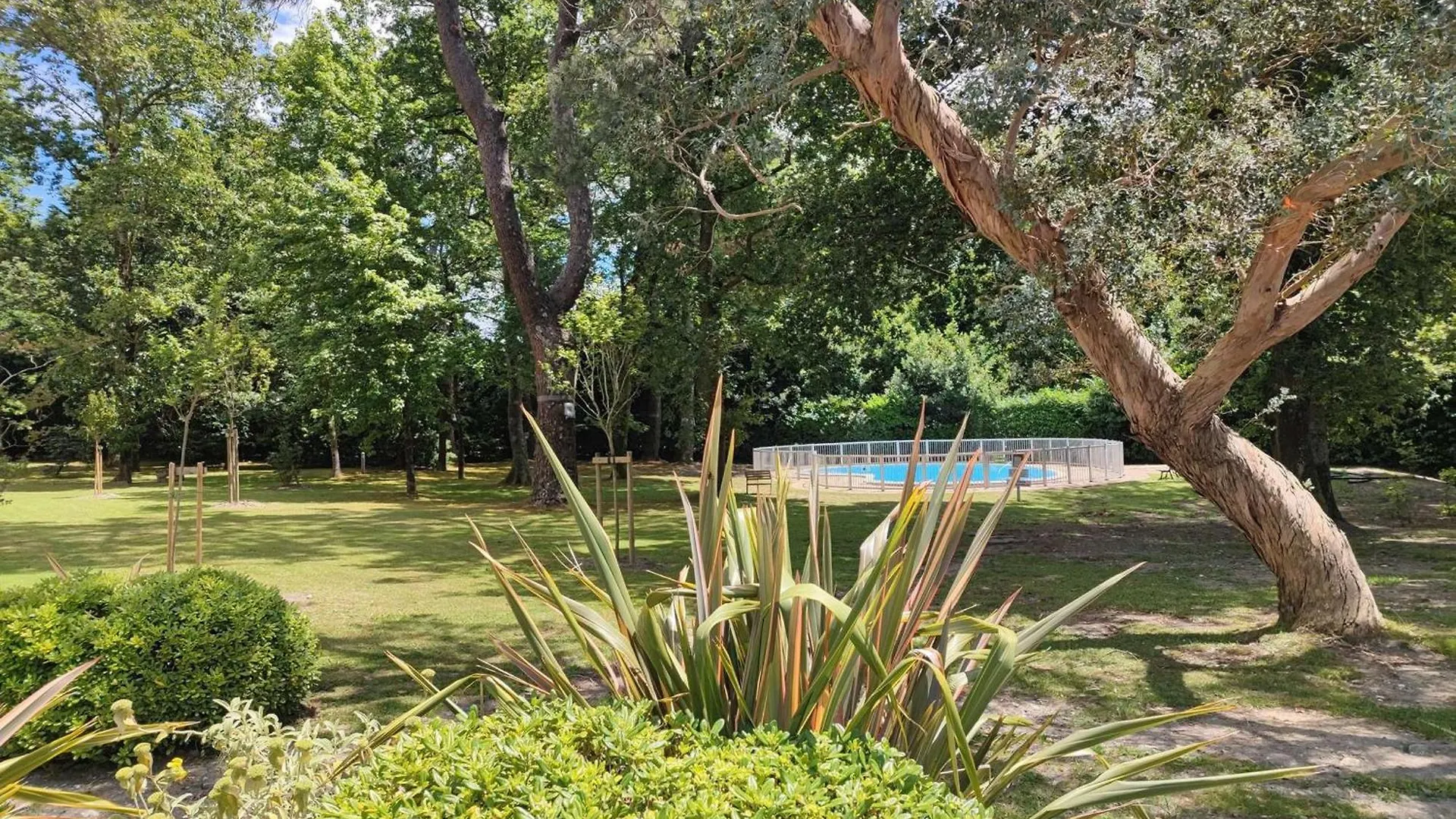 Studio Renove Avec Piscine, Wi-Fi, Proche Centre Ville Et Plage - Fr-1-3-610 Biarritz